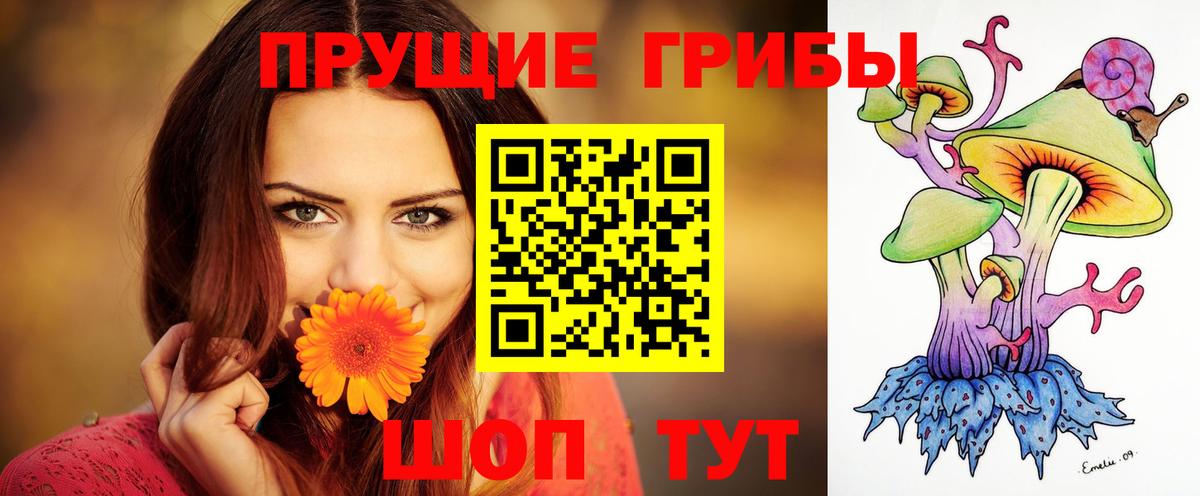 Псилоцибиновые грибы Psilocybe Армавир